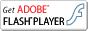 Click to download latest version of flashplayer